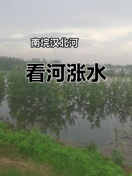 香港澳门 第5页